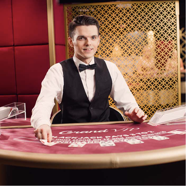 Blackjack Vip G (Evolution Gaming) Image 1